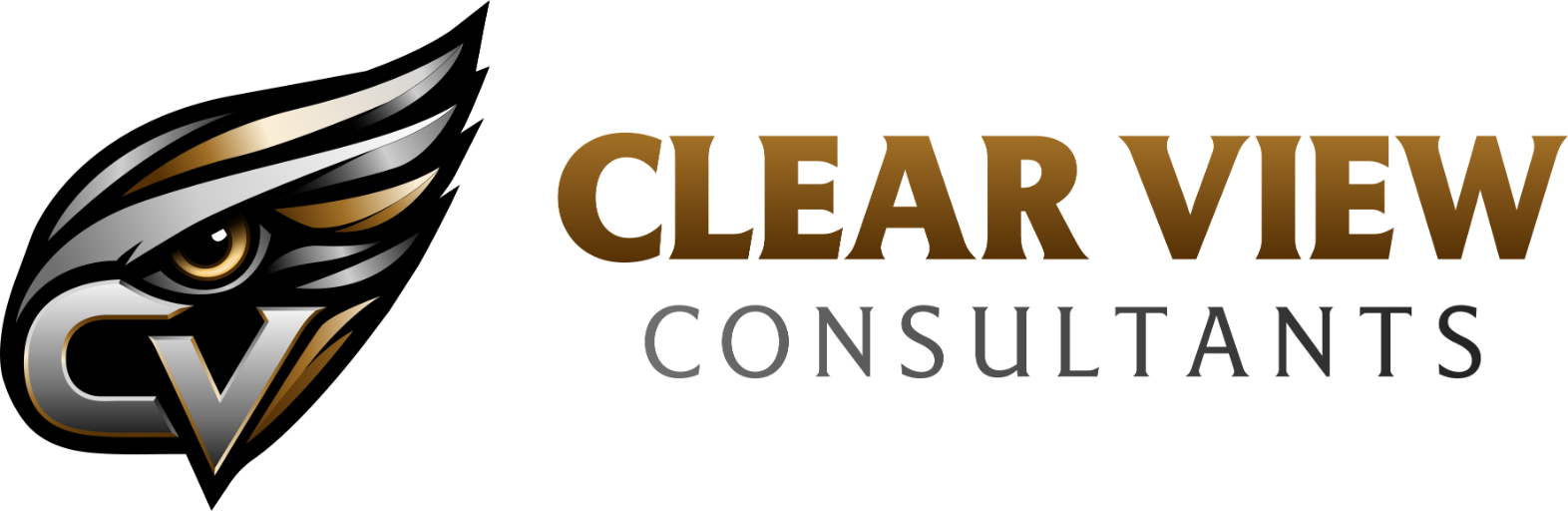 Clear View Consultants